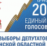 Более 11 тысяч зауральцев подали заявления для участия в дистанционном электронном голосовании.. - Притобольный муниципальный округ